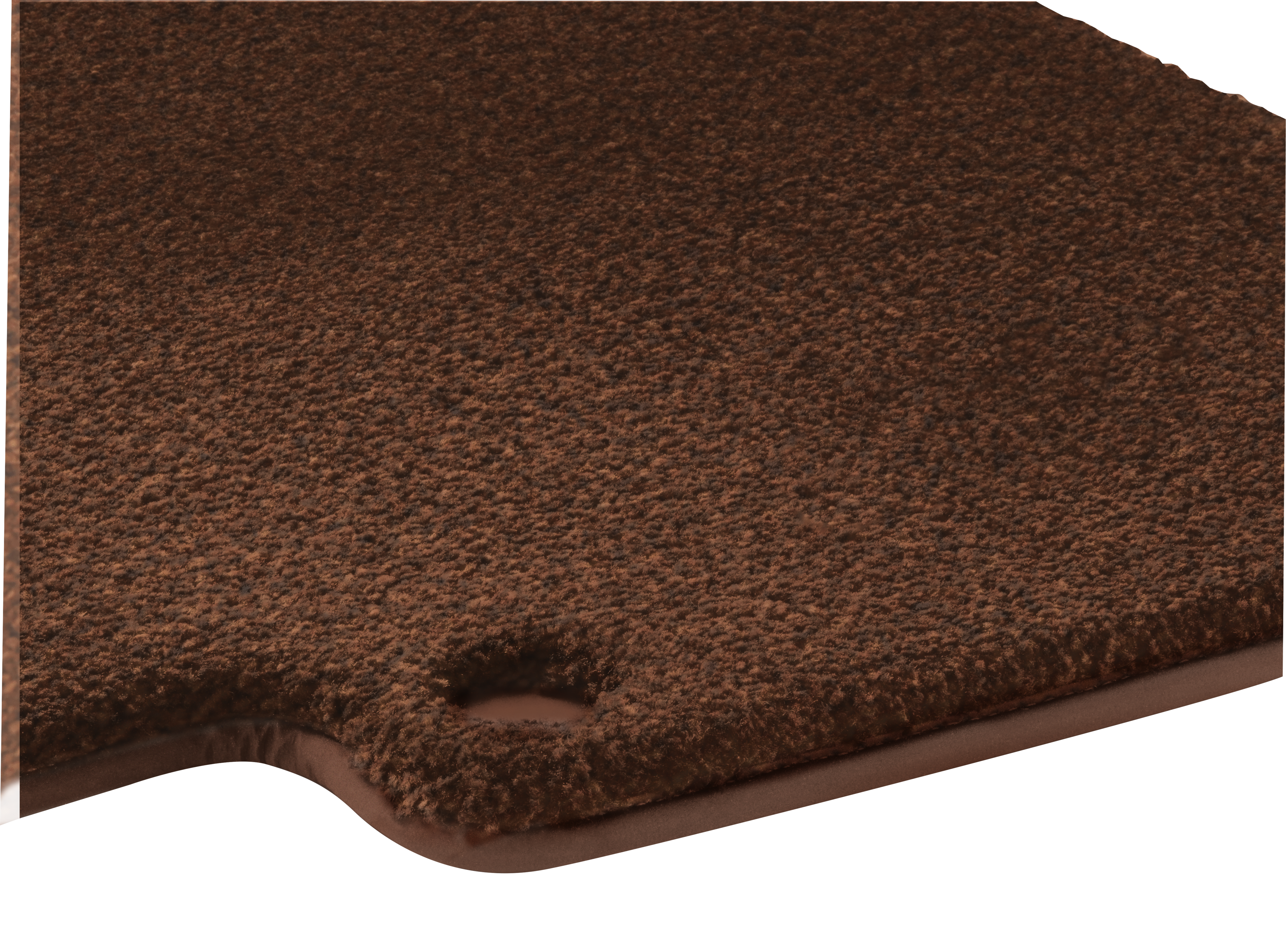 Beechbrown
