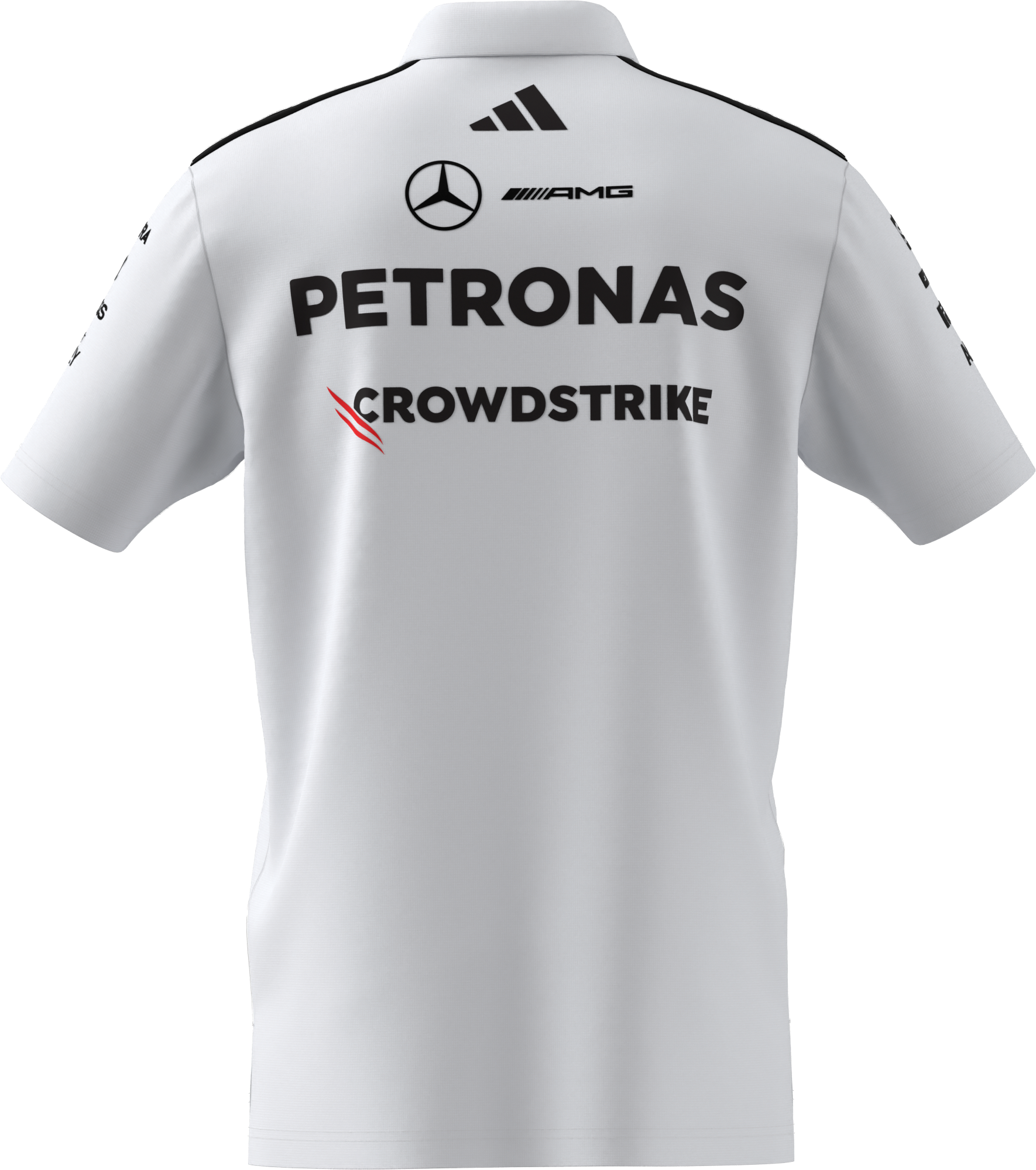 Men's polo shirt, Team, Mercedes-AMG F1 - white, L